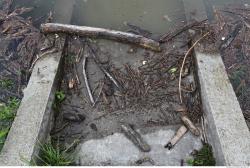 Photo Textures of Ground